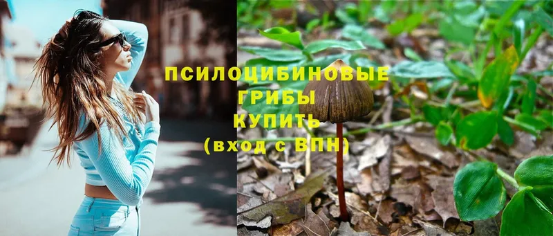 Псилоцибиновые грибы Magic Shrooms  Севастополь 